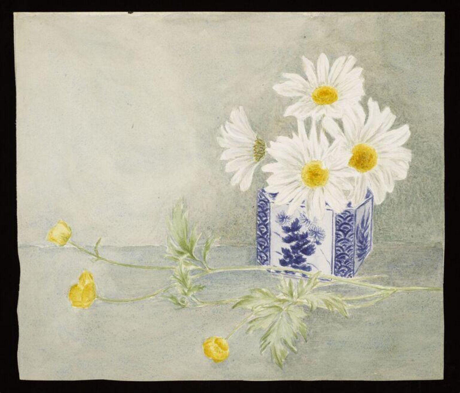 Watercolour, Beatrix Potter, 06/1881-08/1881