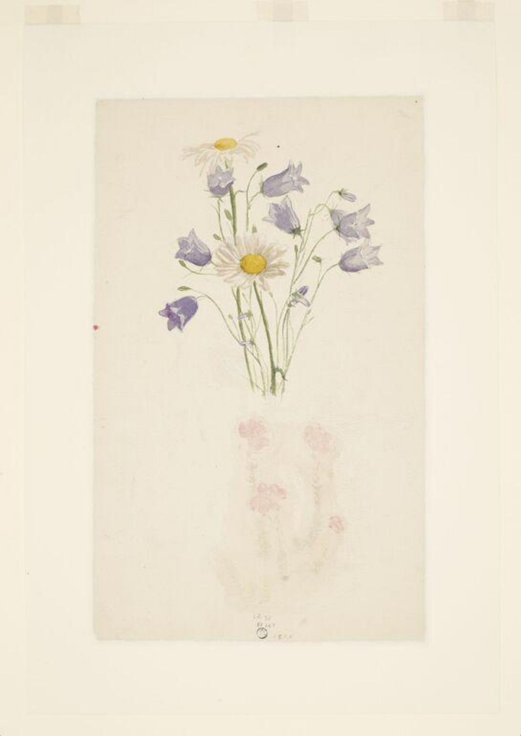 Study of harebells and marguerites, Beatrix Potter, 5 July 1880