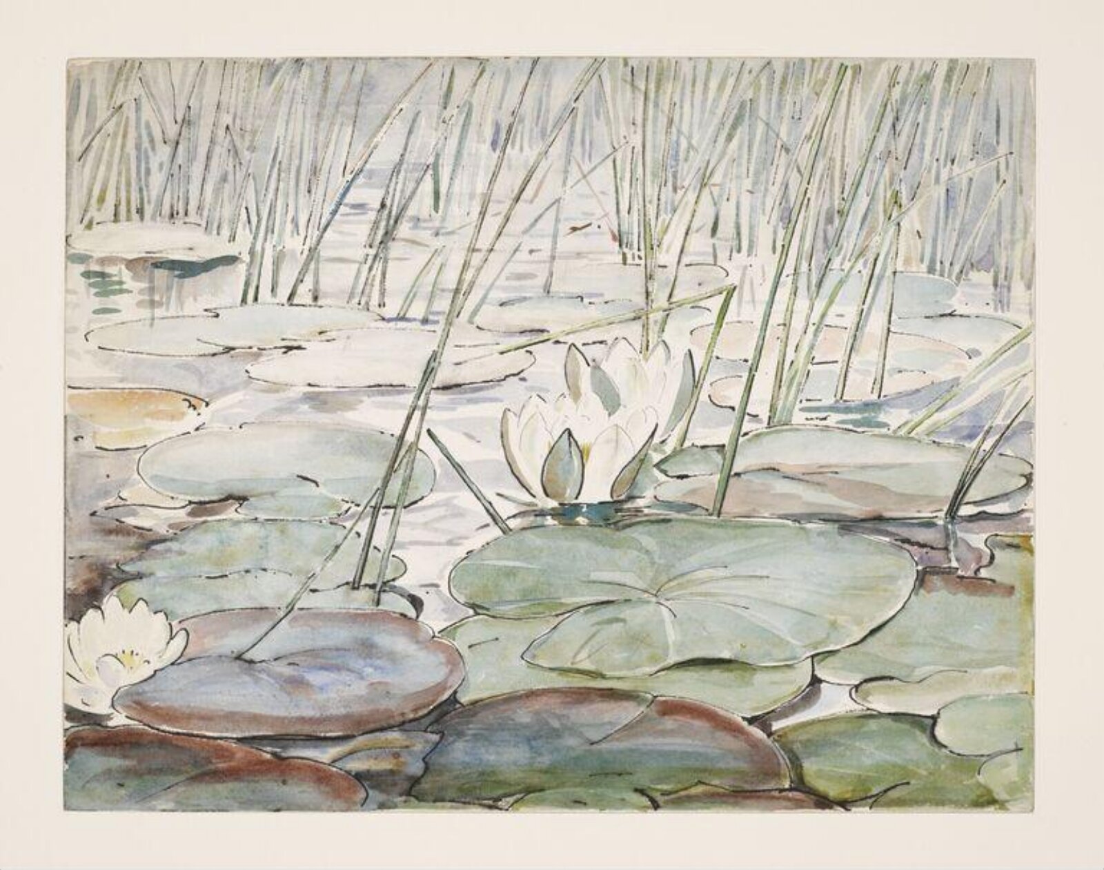 Waterlilies, Beatrix Potter, 1906