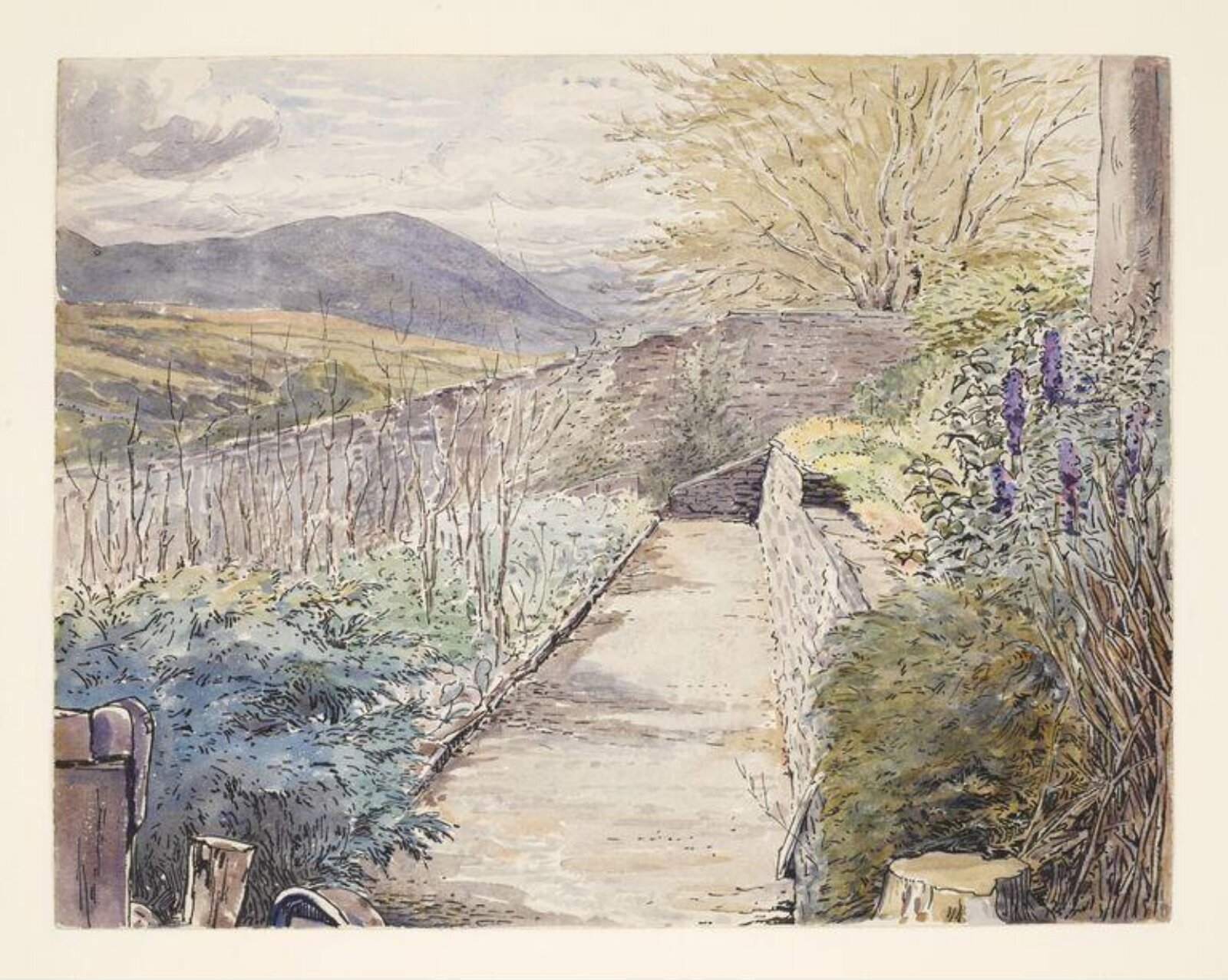Watercolour, Beatrix Potter, ca. 1900
