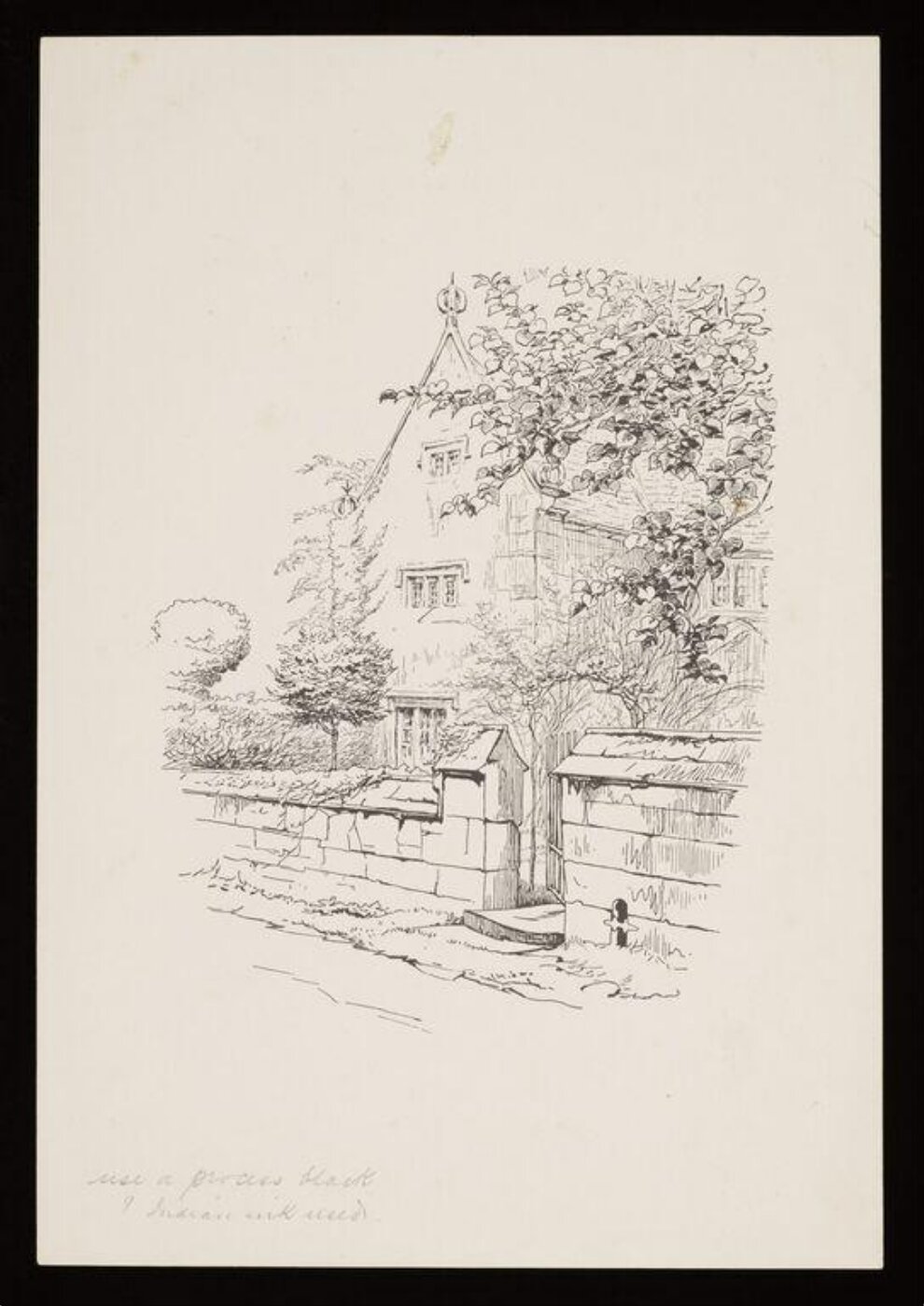 Potter, Beatrix, Print