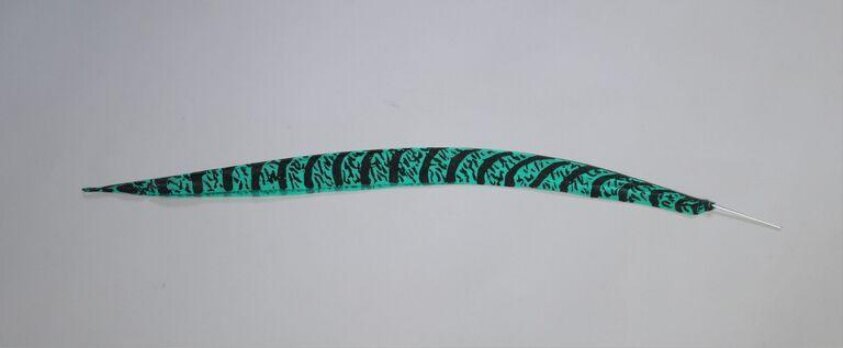 Feather, created for carnival by Keith Khan (ca. 2004) by Aqil Khan