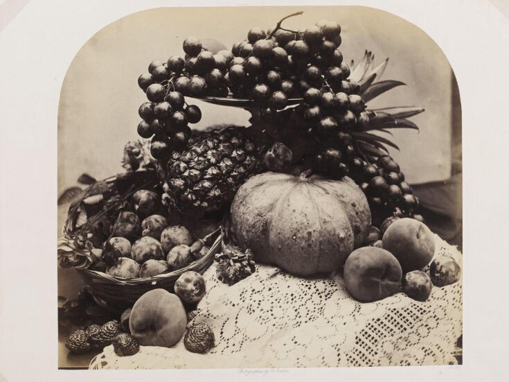 Fruit (melon & fruit) top image