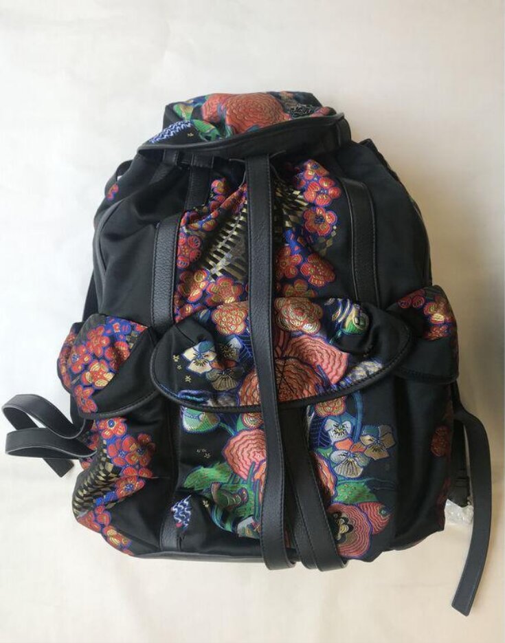 Backpack top image