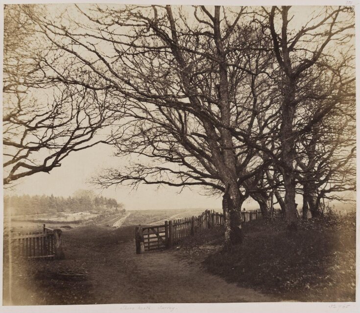 Shere Heath, Surrey | Thurston Thompson, Charles | V&A Explore The ...