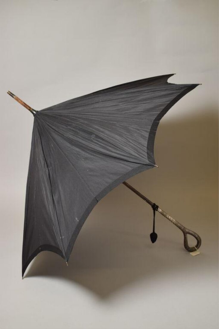 Umbrella top image