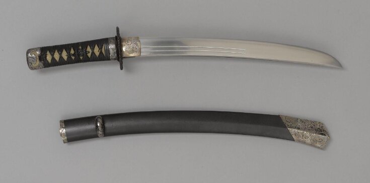 Sword and Scabbard top image