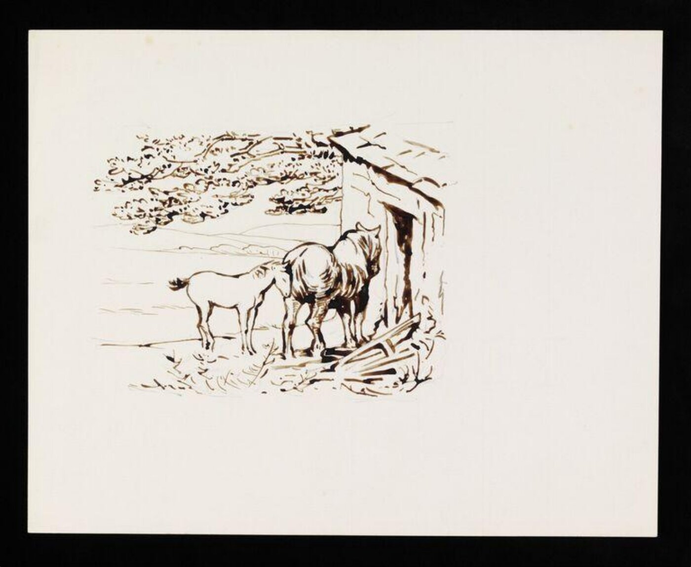 Potter, Beatrix, drawing