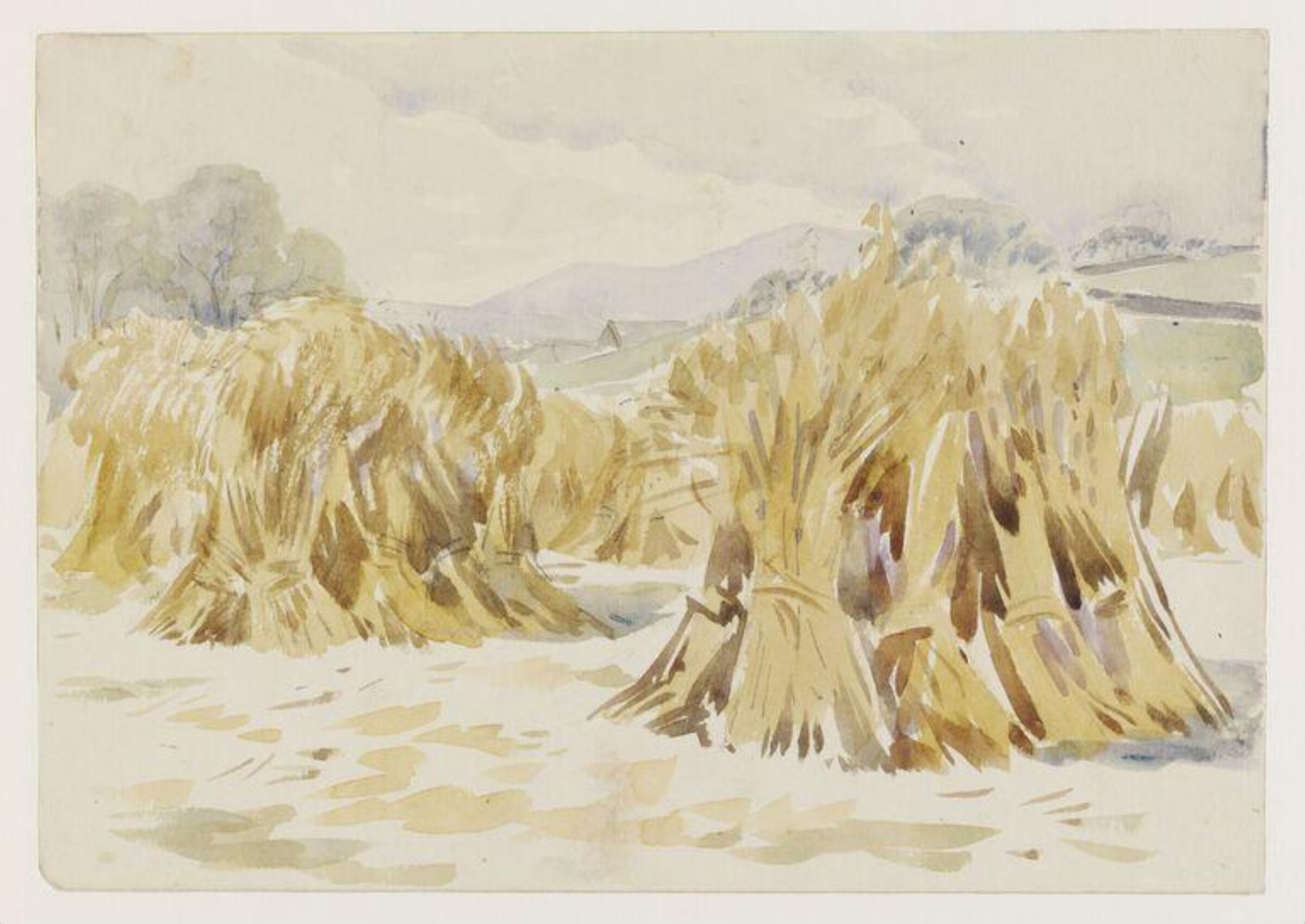 Sheaves of corn in a field, Sawrey, Beatrix Potter, early 20th century