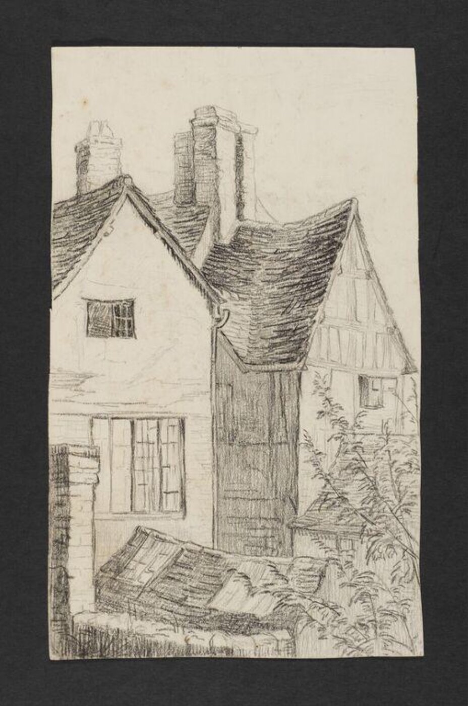 Potter, Beatrix, drawing