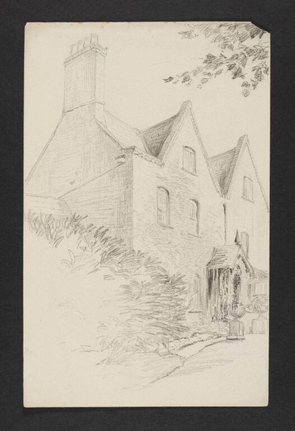 Potter, Beatrix, drawing