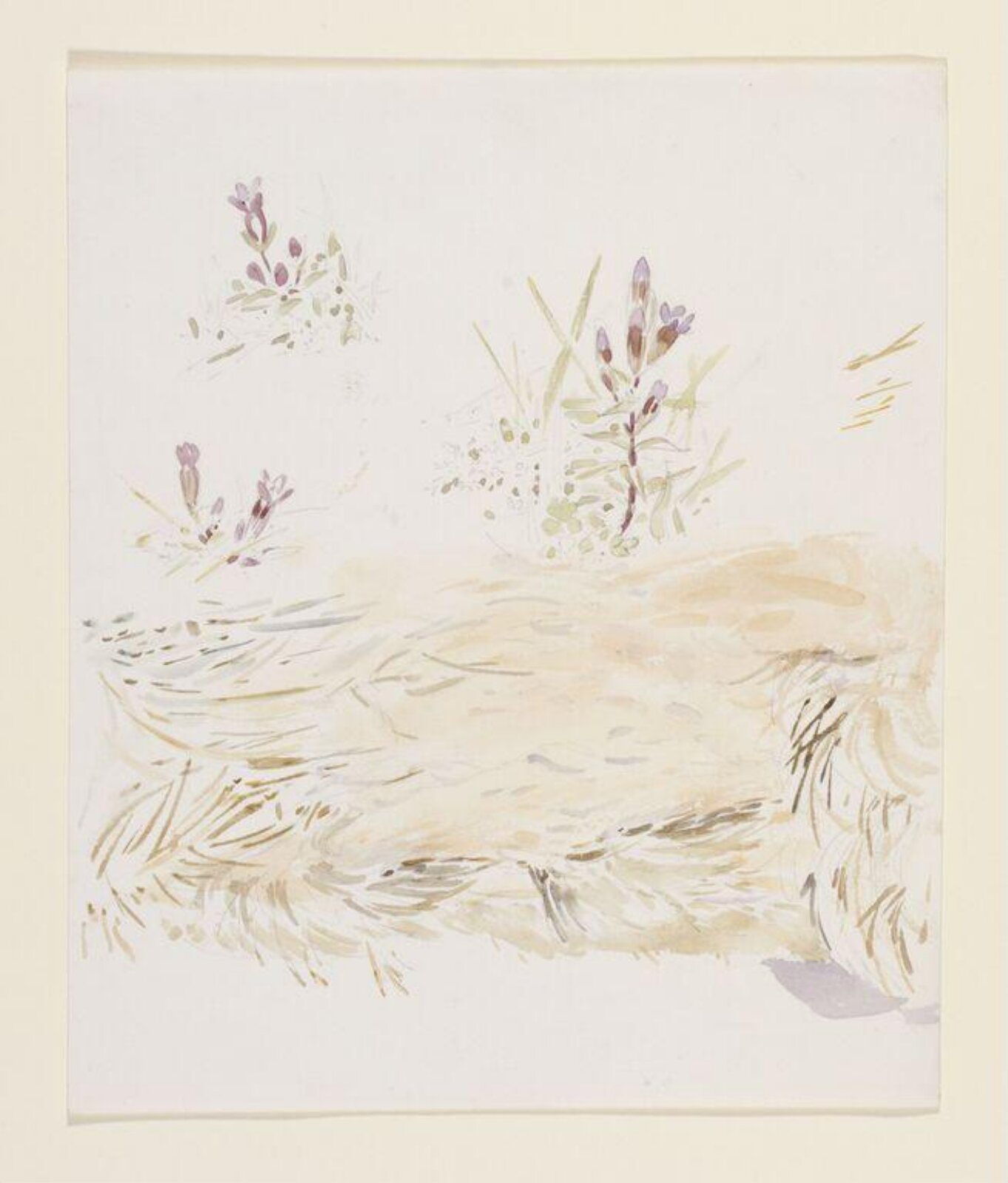 Watercolour, Beatrix Potter, 1887