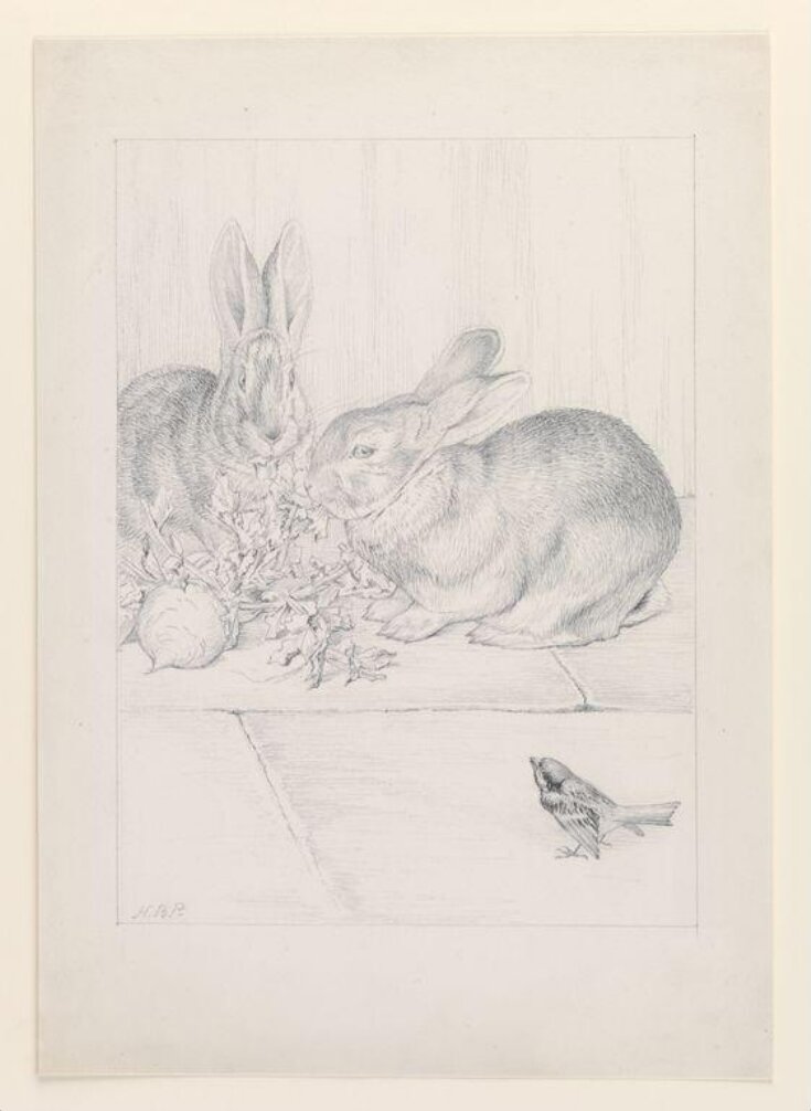 Two rabbits nibbling a turnip, watched by a sparrow top image