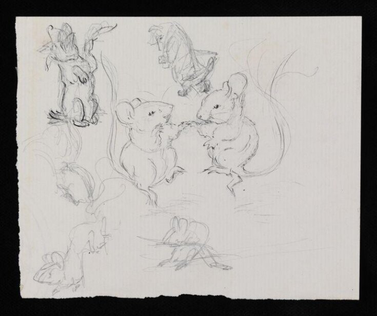 Mice dancing and two studies of dogs top image