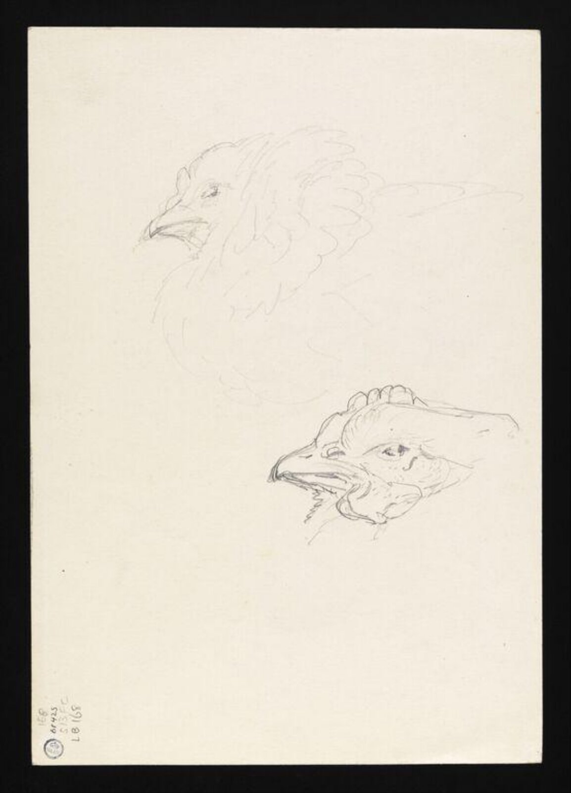 Watercolour, Beatrix Potter, late 19th century - early 20th century