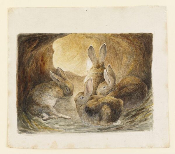 Four rabbits in a burrow Beatrix Potter V A Explore The