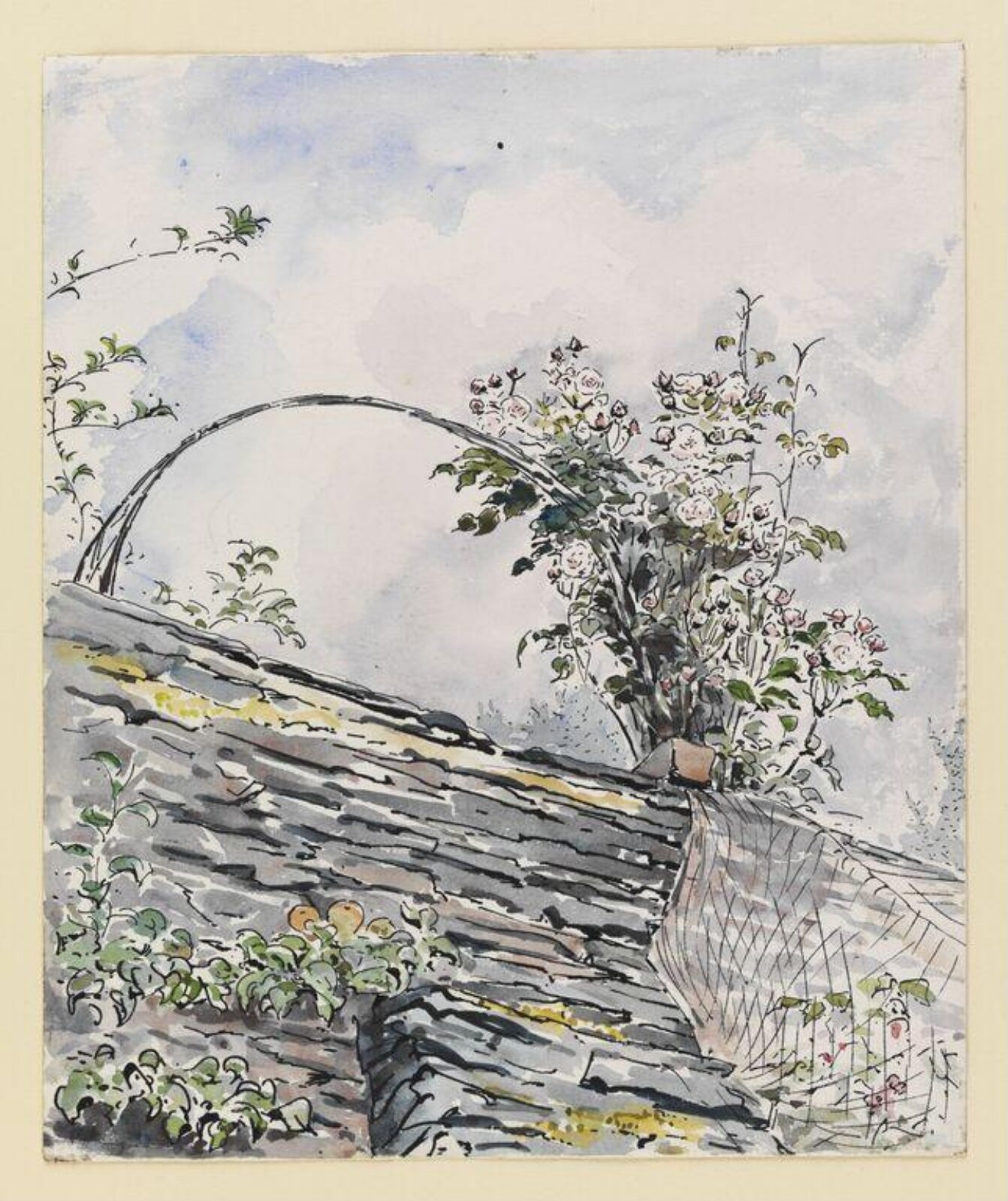 Watercolour, Beatrix Potter, ca. 1903