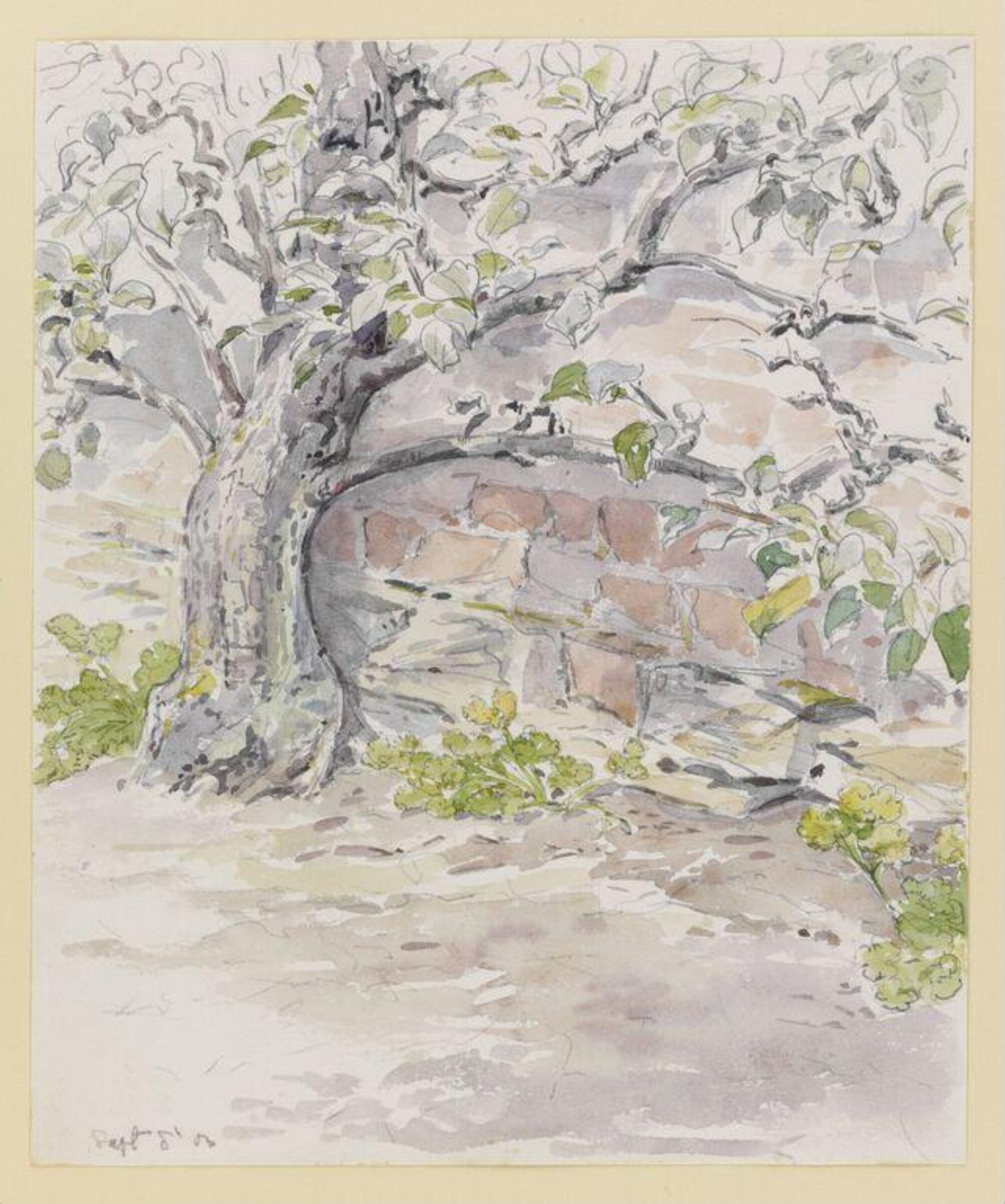 Watercolour, Beatrix Potter, 8 September 1903