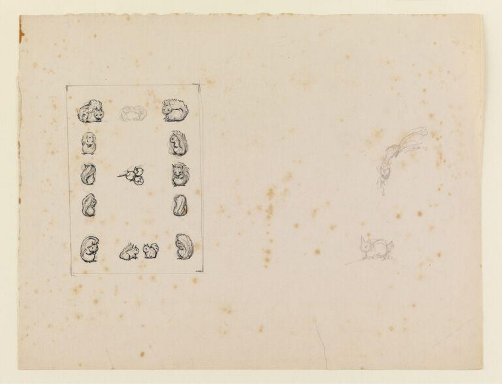drawing, Beatrix Potter, early 20th century
