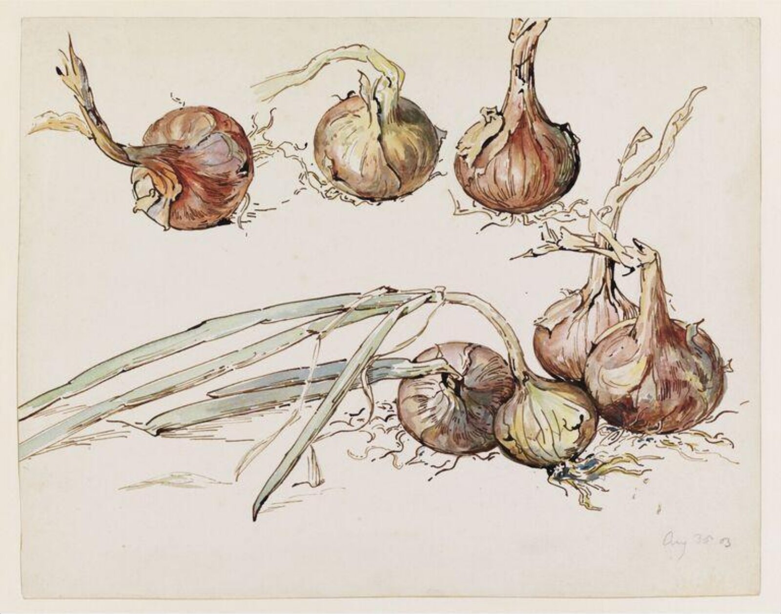 Watercolour, Beatrix Potter, ca. 1903
