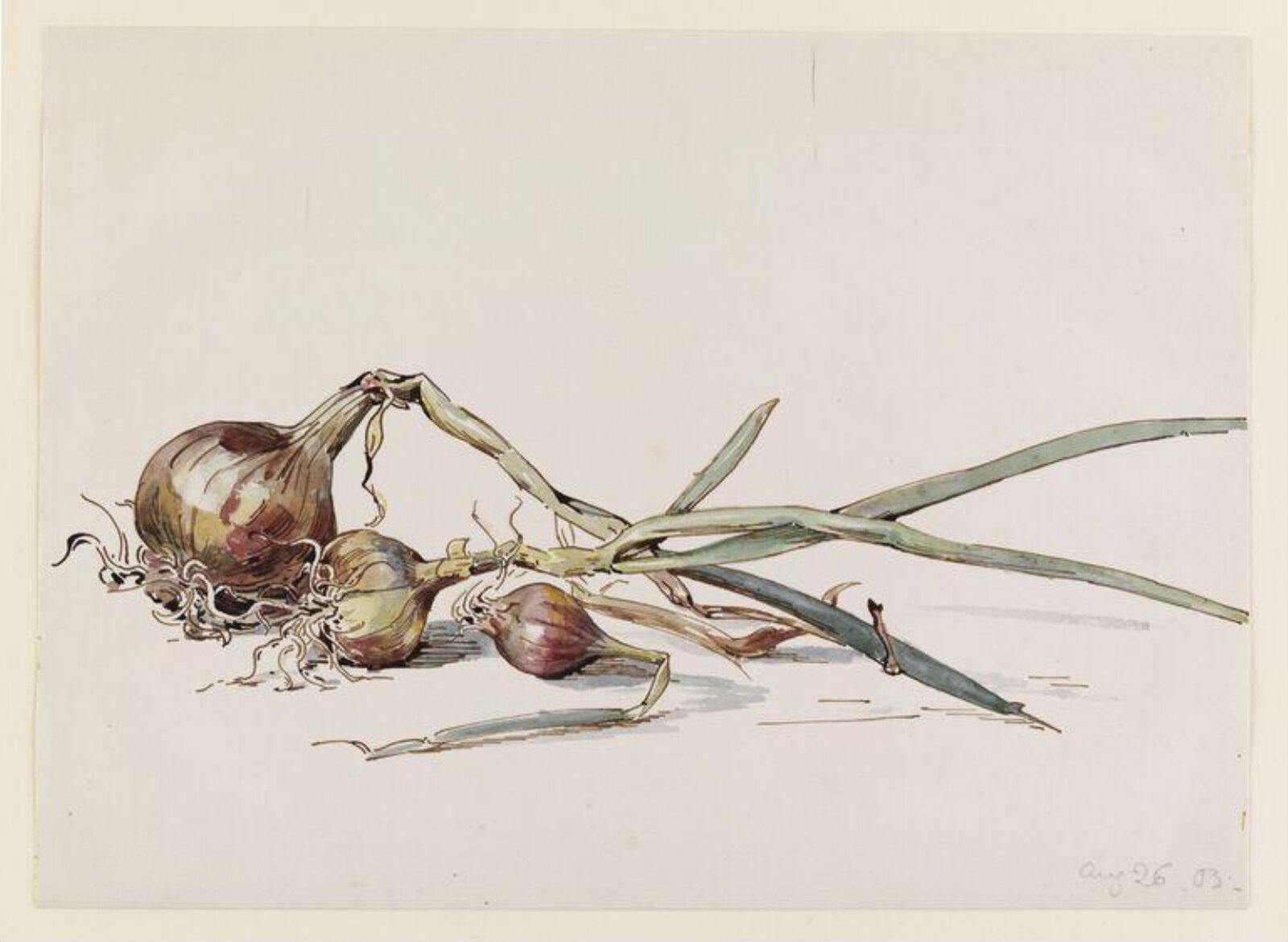 Watercolour, Beatrix Potter, 26 August 1903