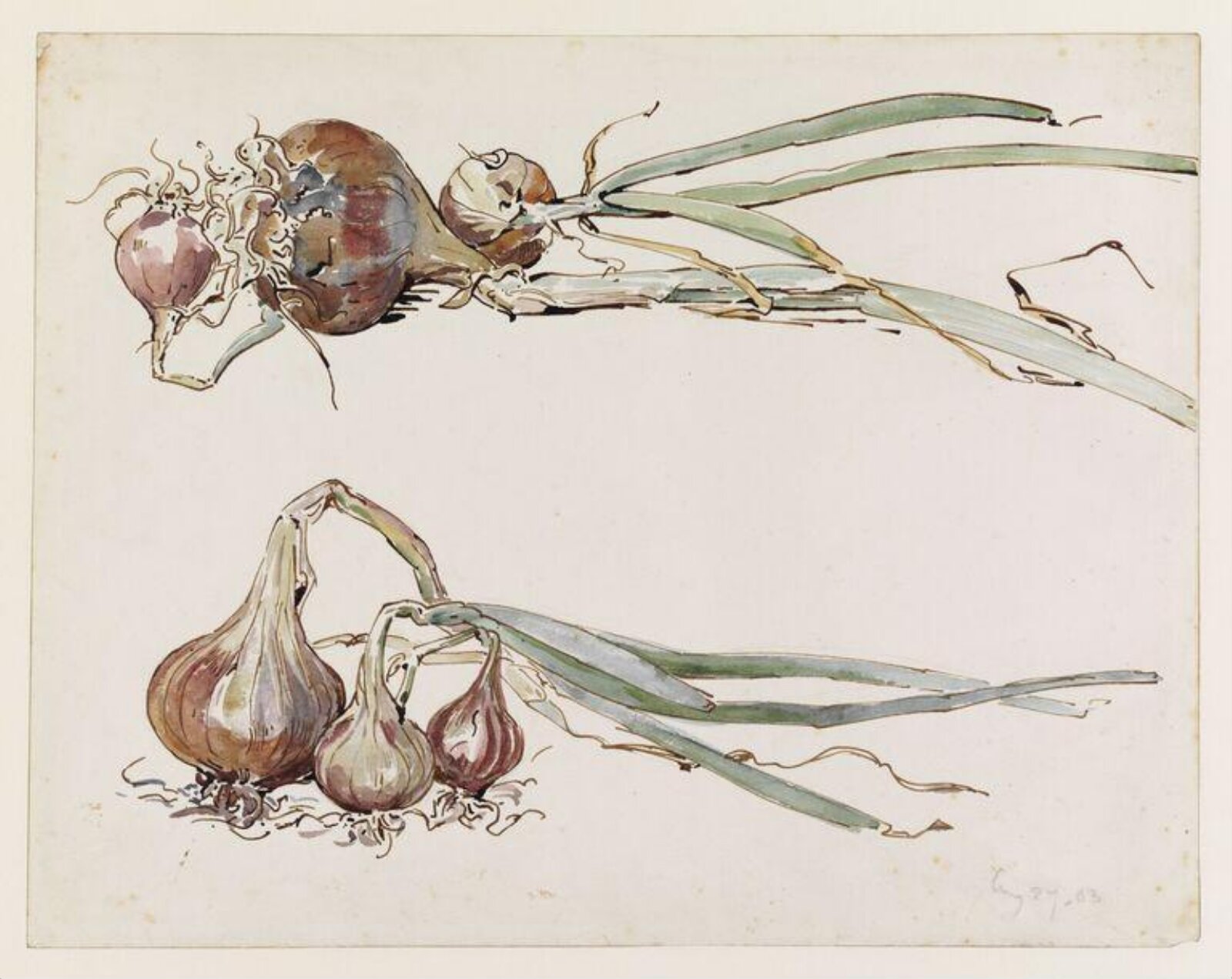 Watercolour, Beatrix Potter, 27 August 1903