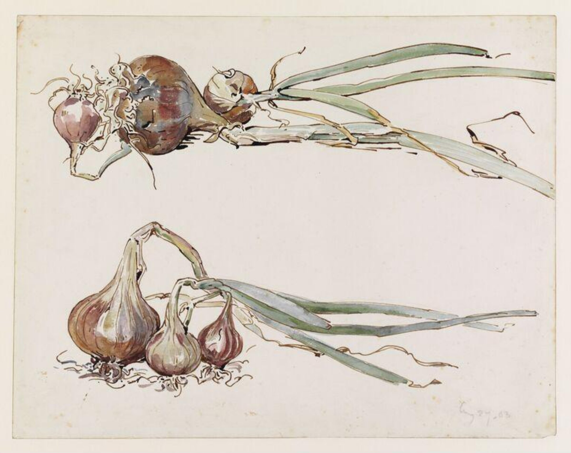 Watercolour, Beatrix Potter, 27 August 1903