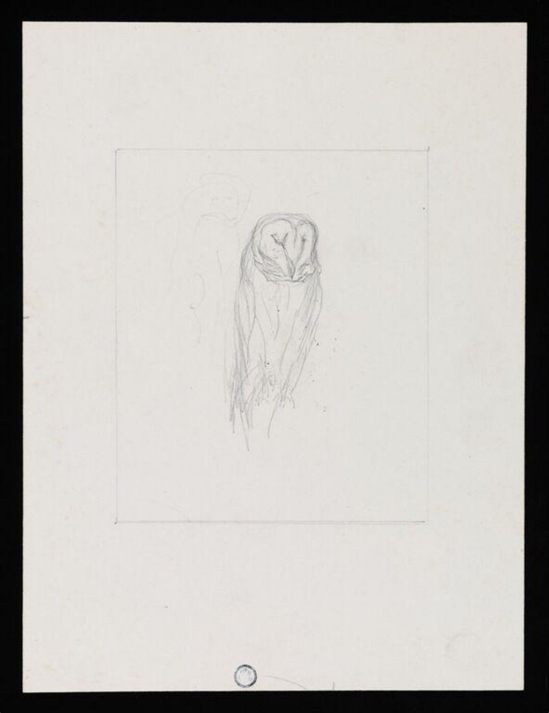 Potter, Beatrix, drawing