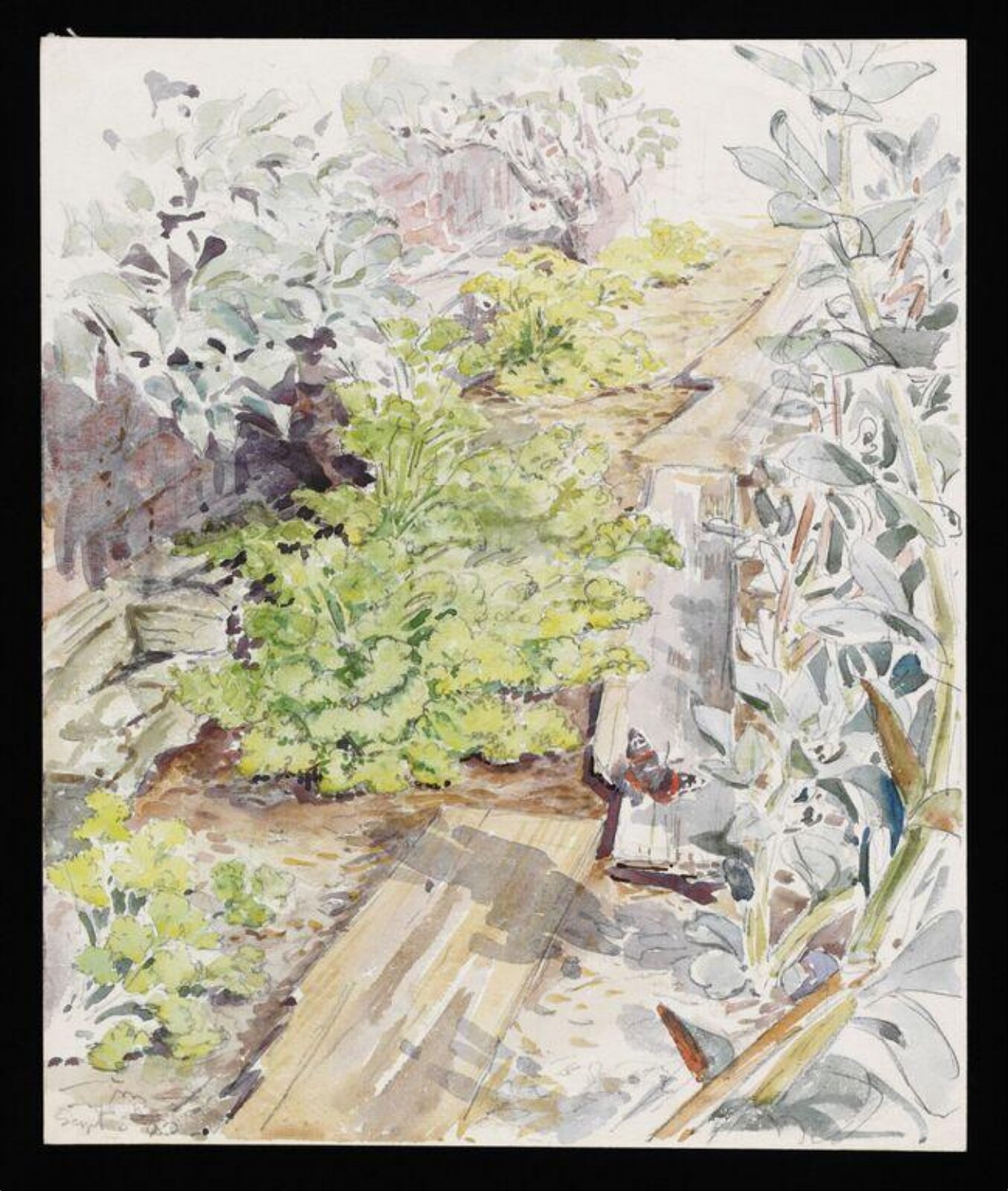 Watercolour, Beatrix Potter, 8 September 1903