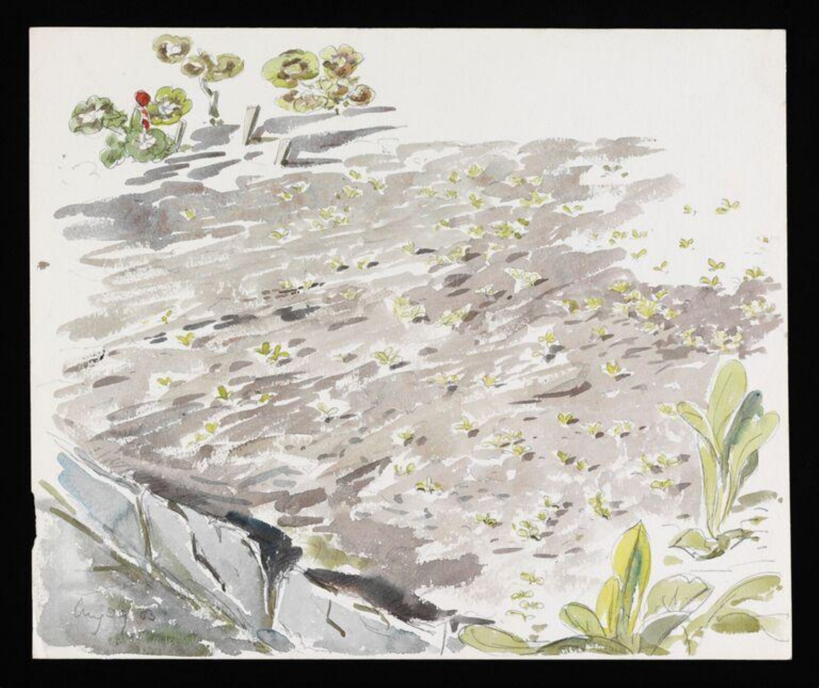 Watercolour, Beatrix Potter, ca. 1903