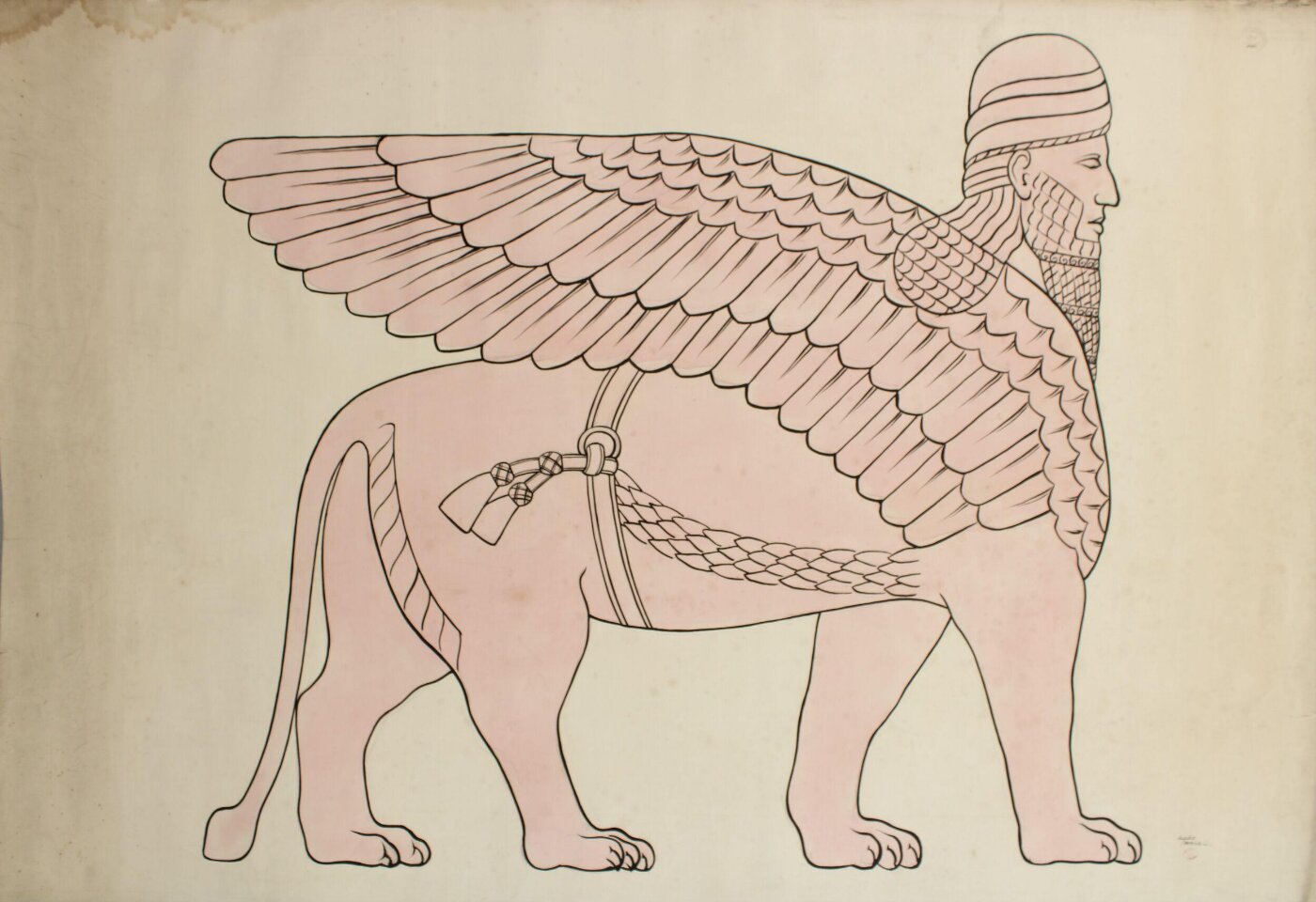 Unknown, Drawing