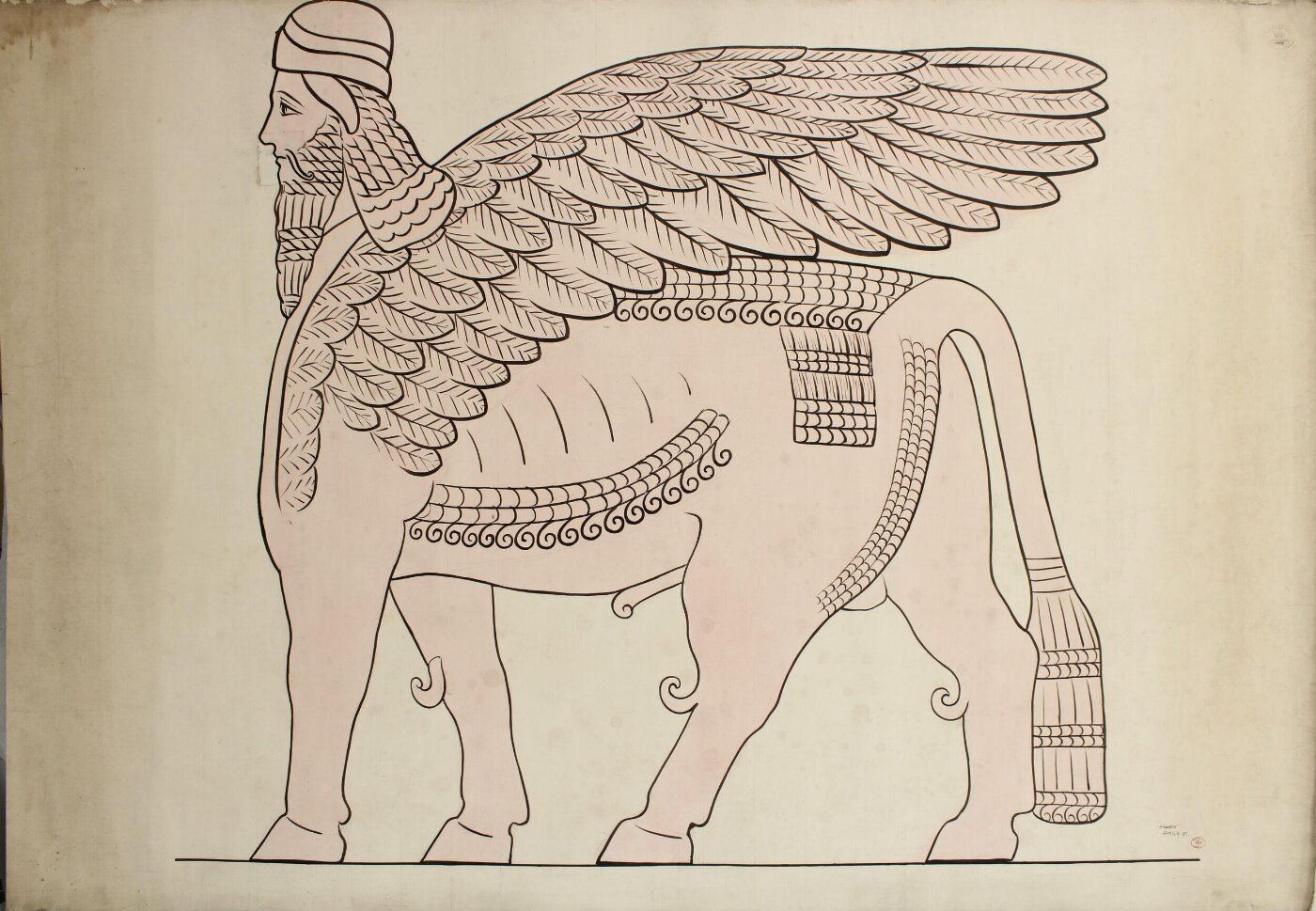 Unknown, Drawing