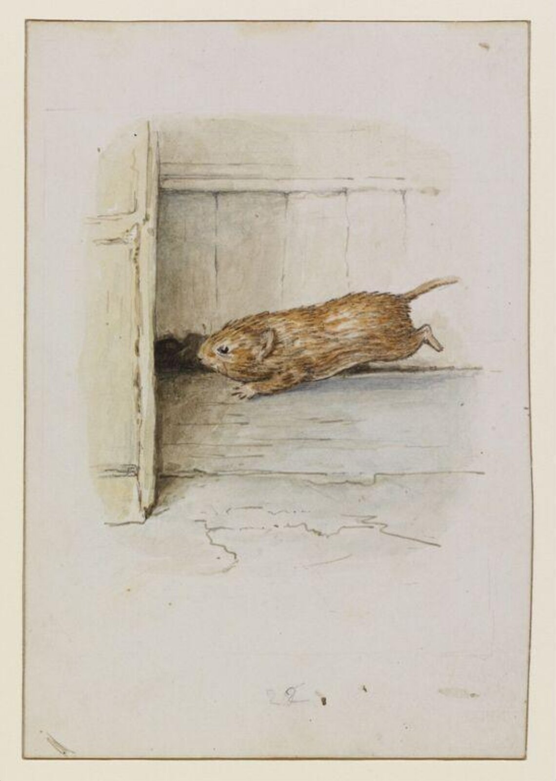 Watercolour, Beatrix Potter, ca. 1905