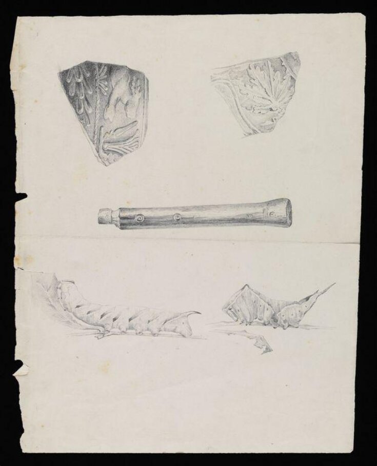 Two caterpillars, a musical instrument and two fragments of Roman pottery top image