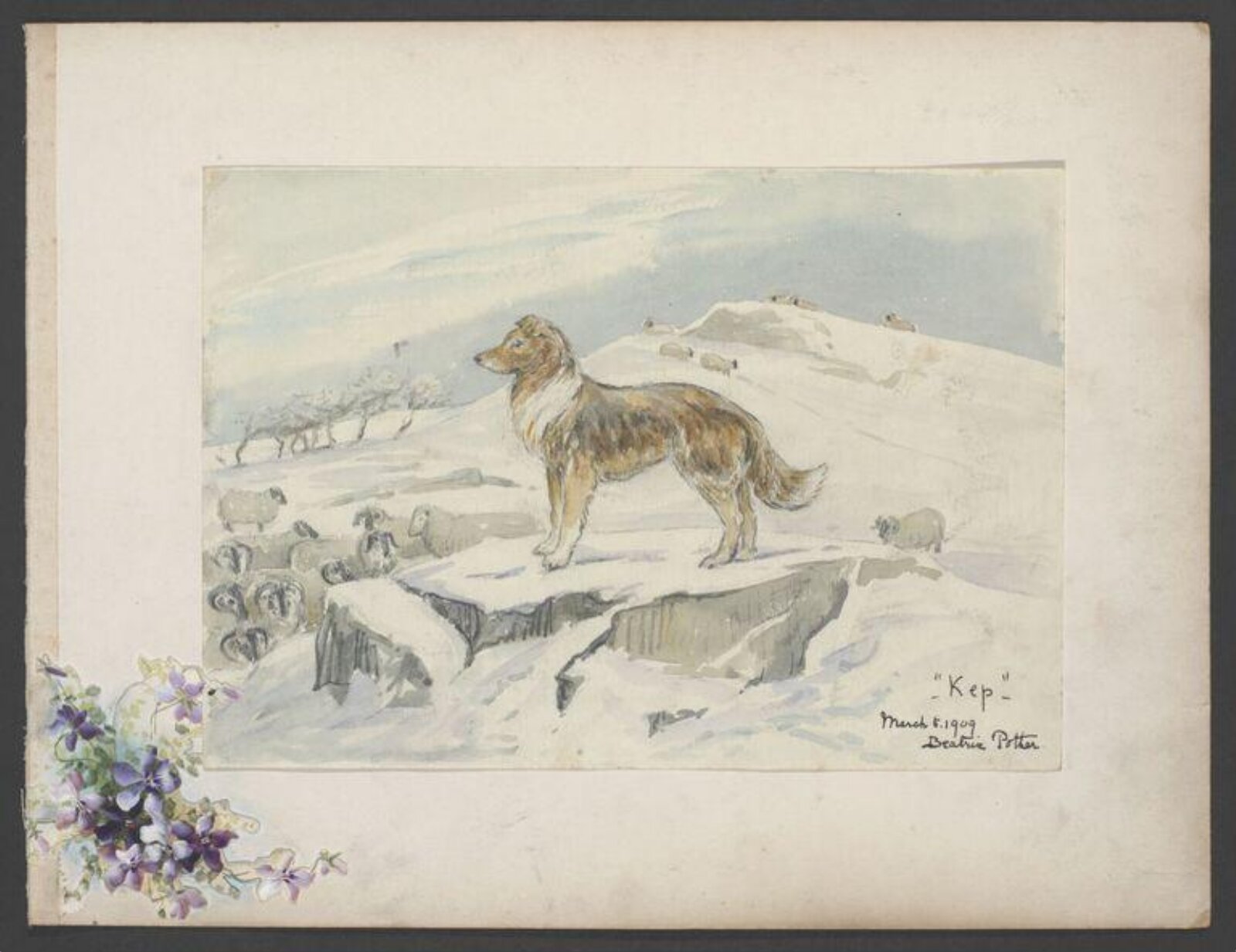 Kep, Beatrix Potter, 5 March 1909