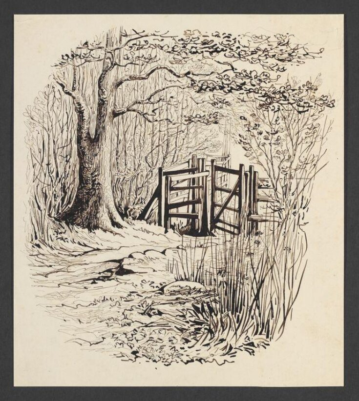 A gateway leading from a wood into a field top image