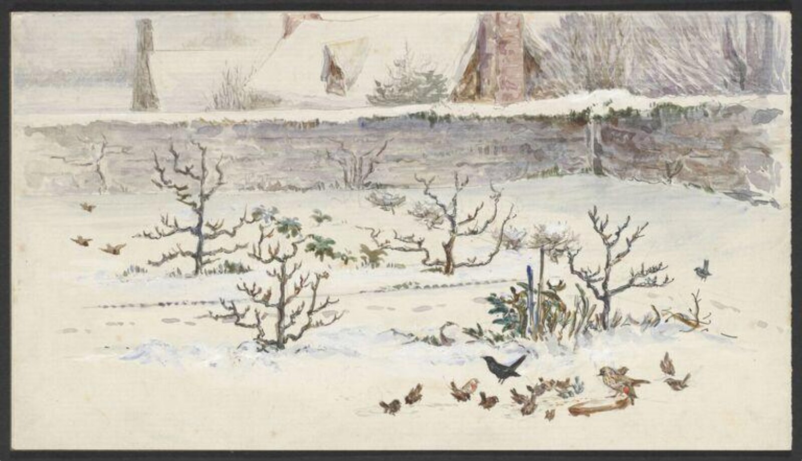 Watercolour, Beatrix Potter, February 1901