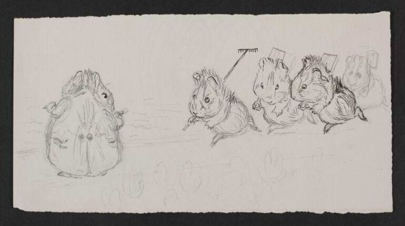 Potter, Beatrix, drawing