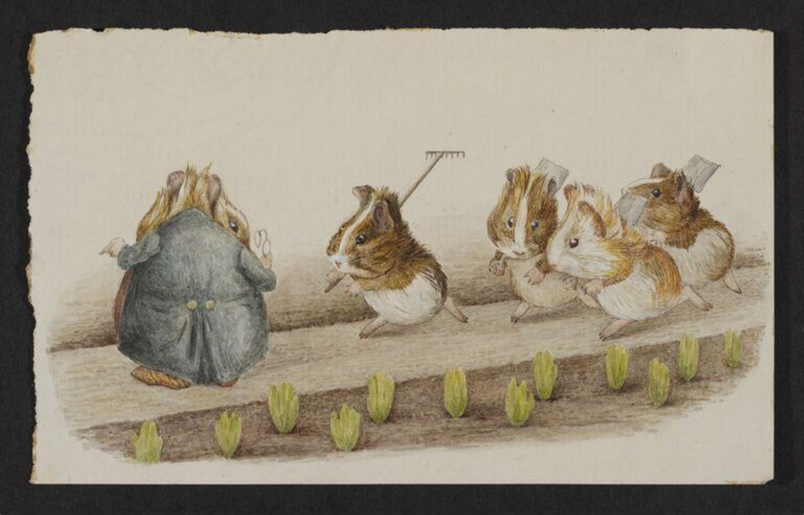 Watercolour, Beatrix Potter, 1893