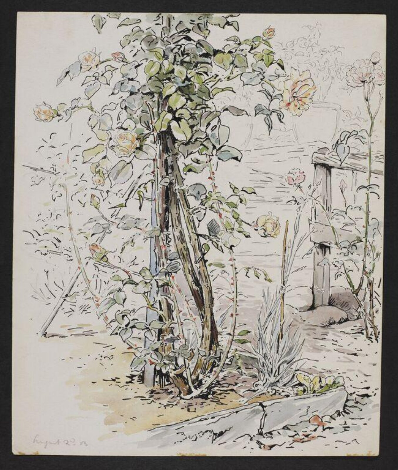 Watercolour, Beatrix Potter, 2 August 1903