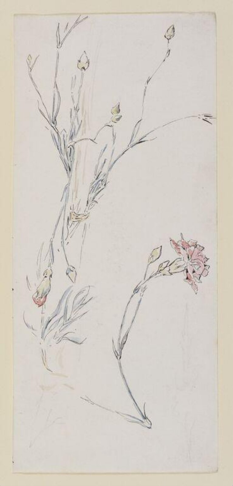 Watercolour, Beatrix Potter, ca. 1903