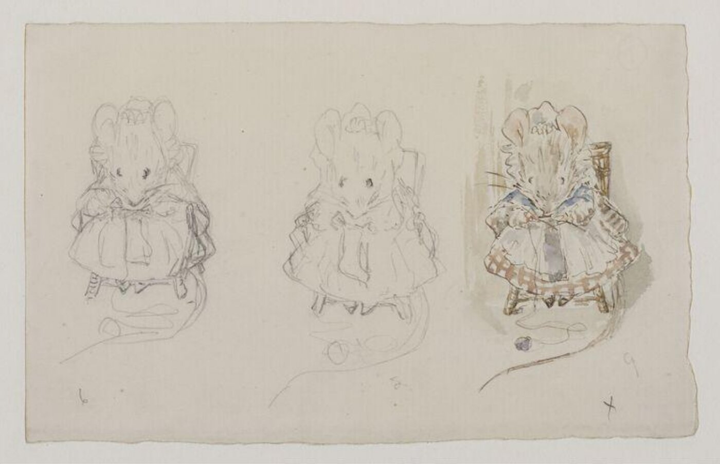 Potter, Beatrix, Drawing