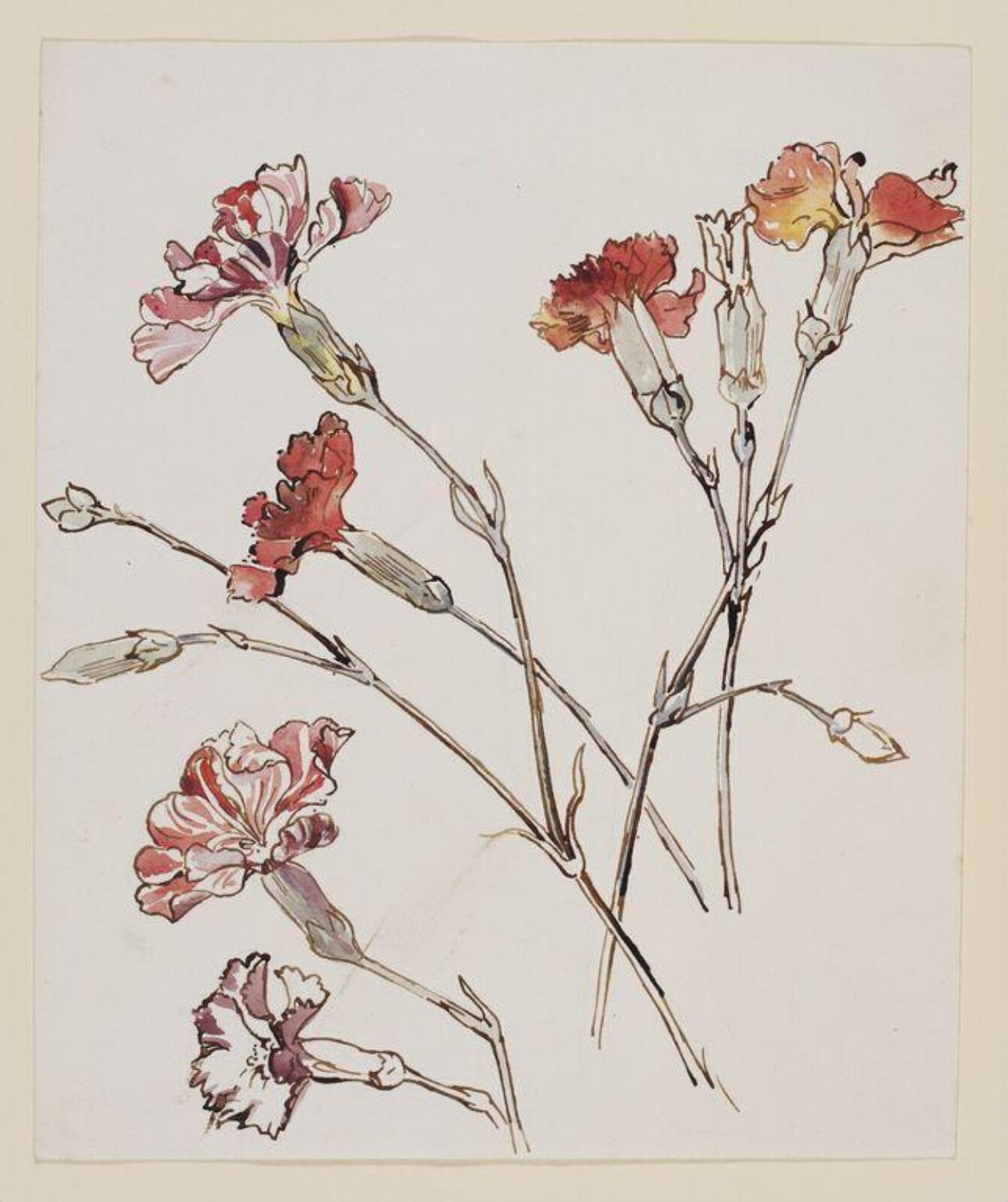 Watercolour, Beatrix Potter, ca. 1903