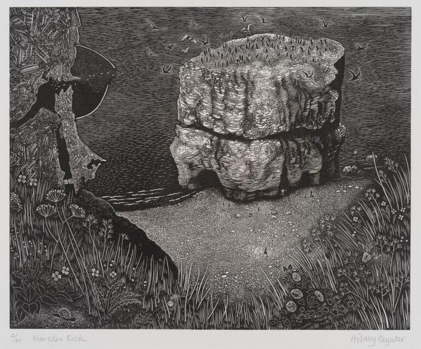 Hilary Paynter, The Metro Project: Marsden Rock