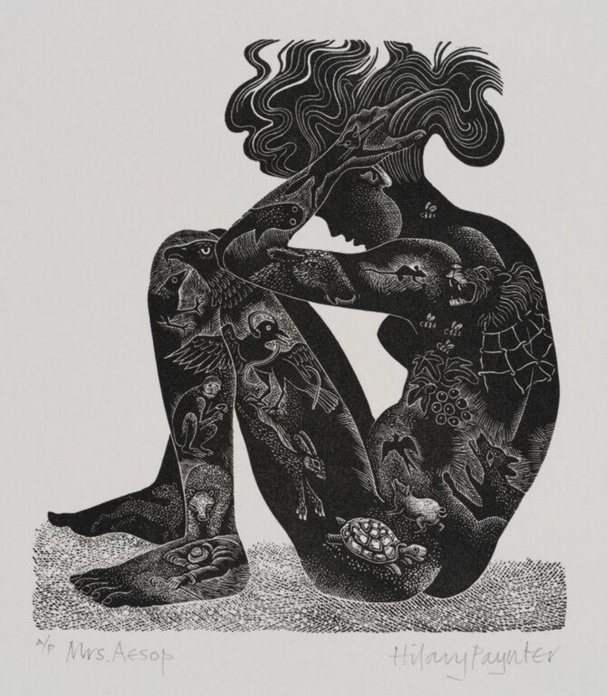 Hilary Paynter, Mrs Aesop