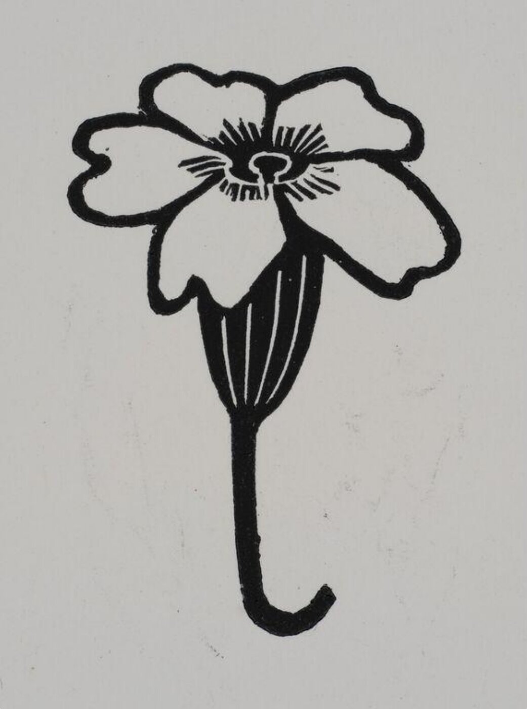 Hilary Paynter, Primrose