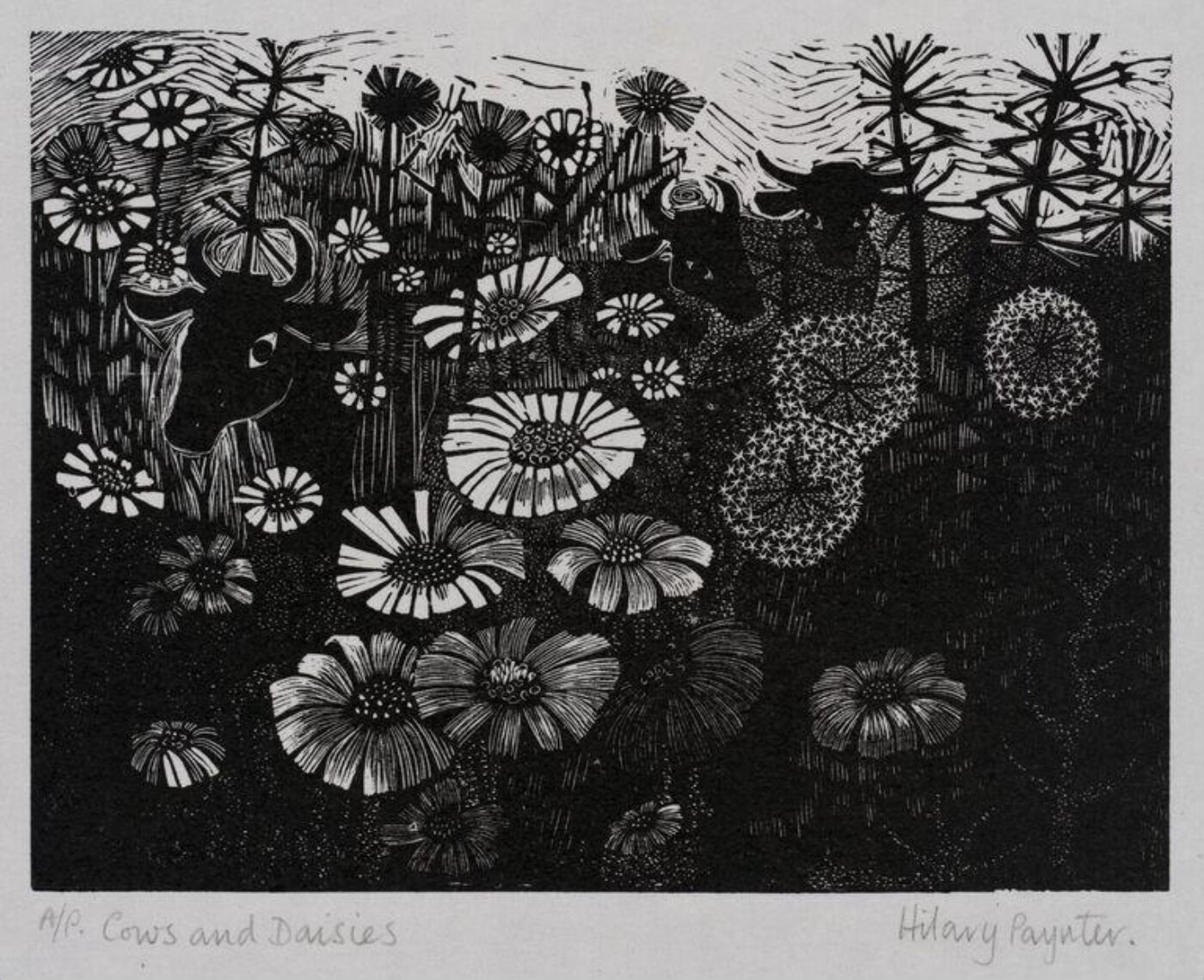Hilary Paynter, Cows and Daisies