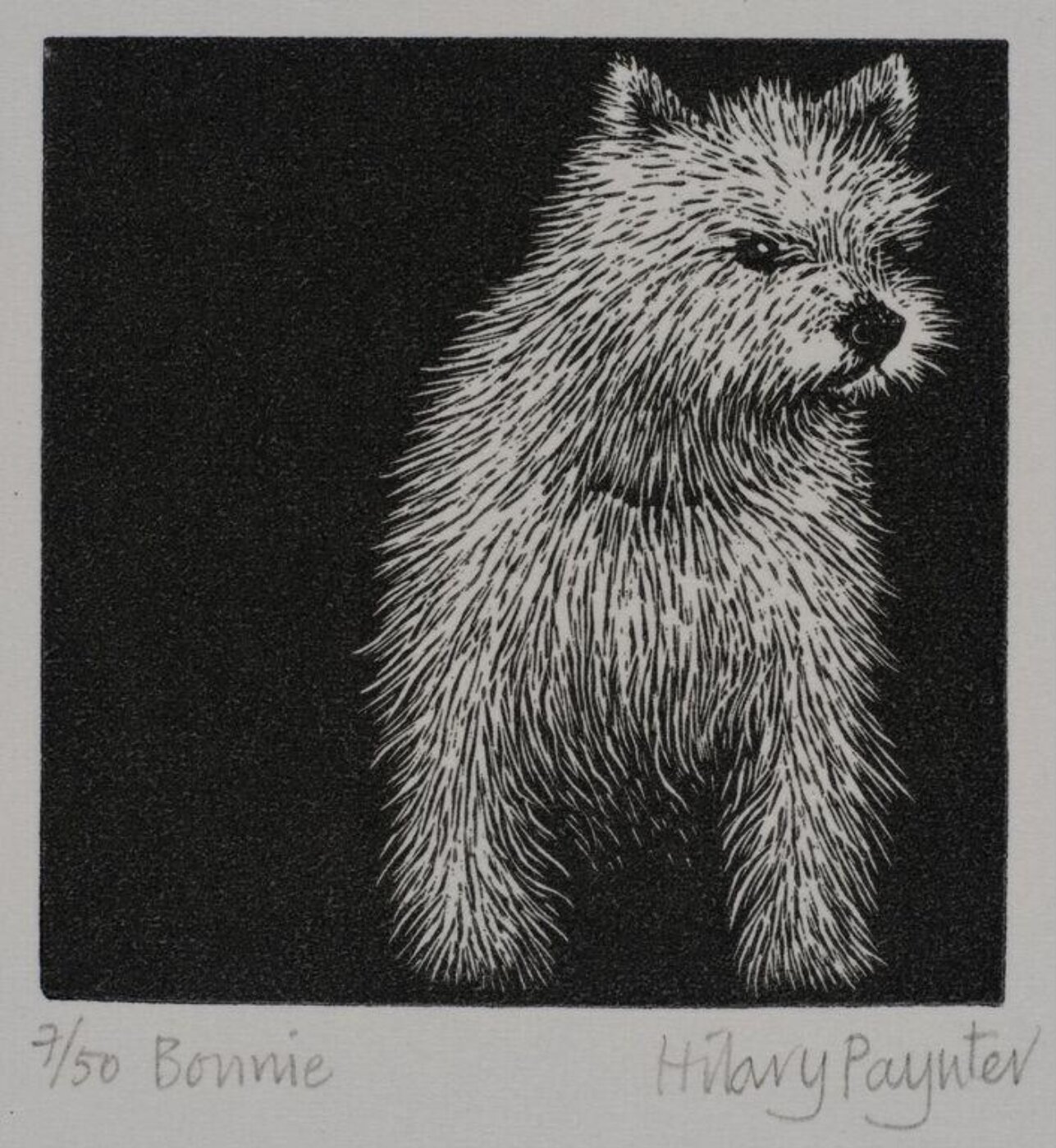 Hilary Paynter, Bonnie