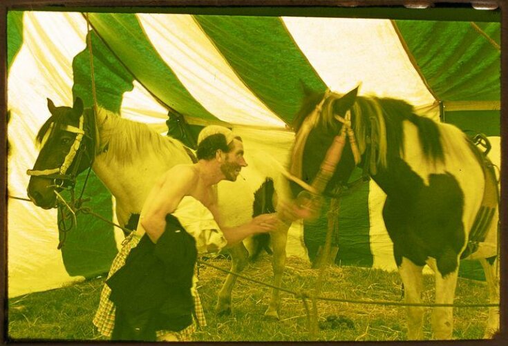 a clown and two horses top image