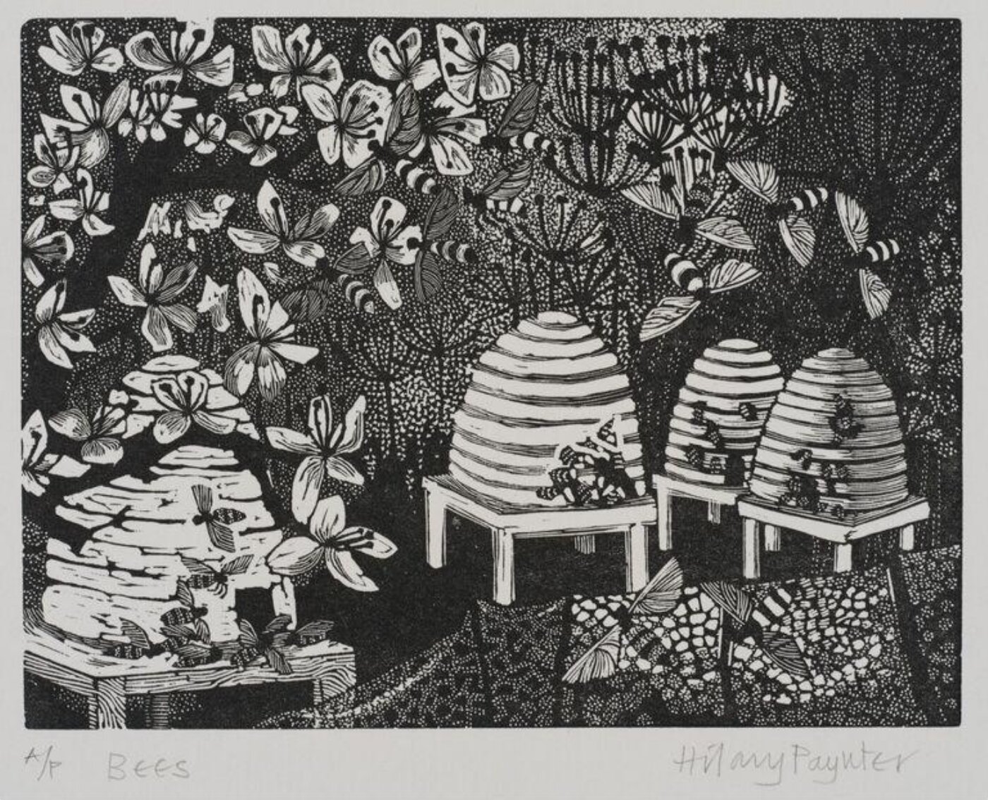 Hilary Paynter, Bees